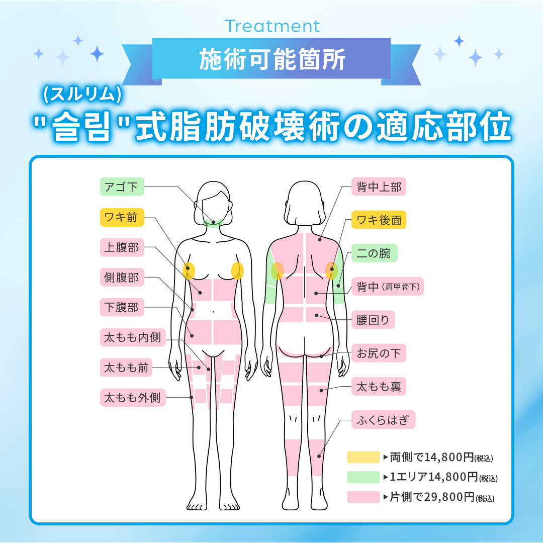スルリム式脂肪破壊術の適応部位