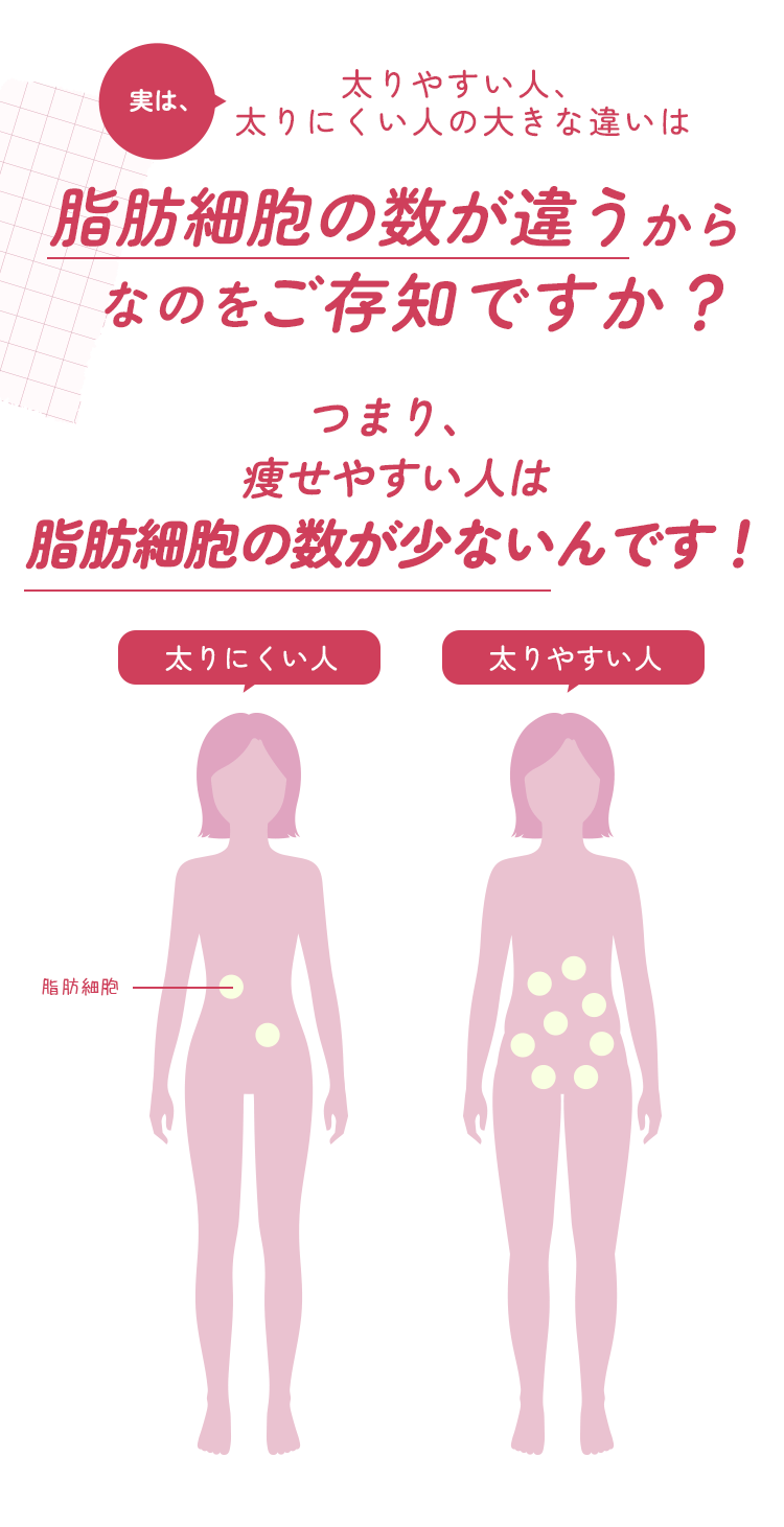 脂肪細胞の数が違うからなのをご存知ですか？